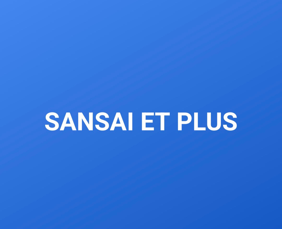 SANSAI ET PLUS